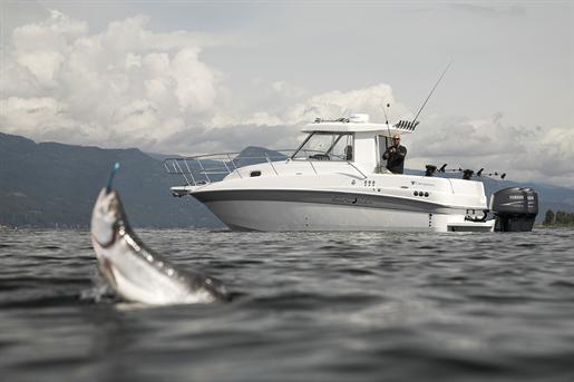 2010 Campion 822 Explorer HT