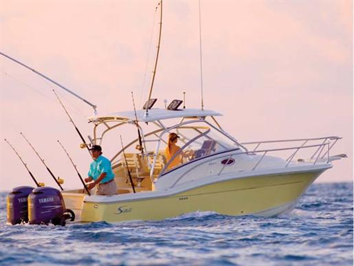 2008 Scout 262