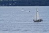 Georgian Bay Vessels