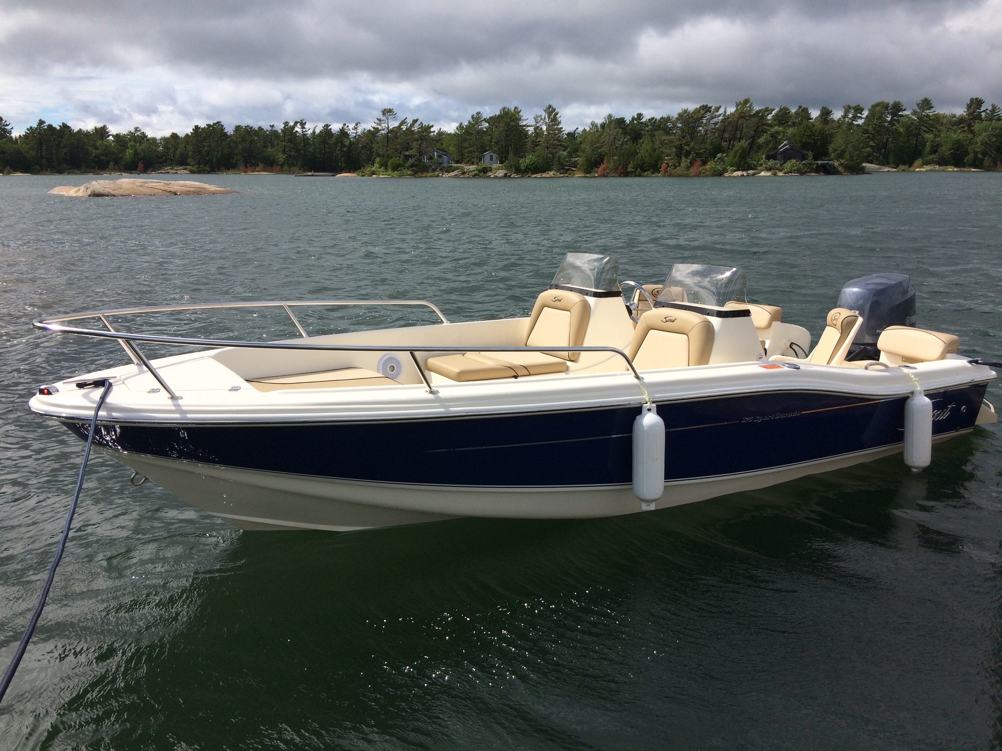 Scout 175 Sport Dorado 2017 New Boat for Sale in Pointe Au Baril