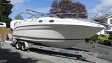 1999searaysundancer