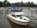 1983Chris-Craft315COMMANDER