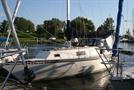 1977HunterHunter 33 (Cherubini)
