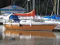1975Chaser YachtsChaser 29