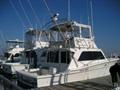 1981JERSEYConvertible Sportfish