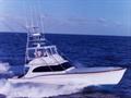 1985BRIGGS BOAT WORKSSunny Briggs Custom