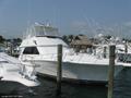 1998Viking50 Convertible