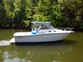 2001Shamrock290 WALKAROUND