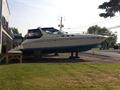 1995Sea Ray Boats400 Express
