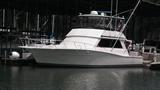 1994Viking53 CONVERTIBLE