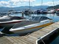 2008Campion545 i