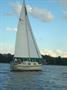 1988Bayfield29c cutter