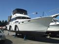 1989Bayliner3888 MY