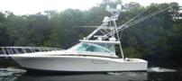1998CABOExpress