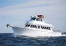 1988Yank53 Party Boat