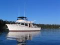 1981Jones Goodell45' Trawler