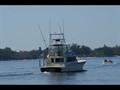 1982HATTERAS50 C