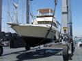 1982TROJANSportfish MY