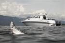 2010Campion822 Explorer HT