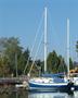 1982BayfieldCutter