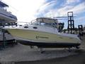 2006Seaswirl2901 Striper