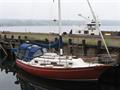 1983BayfieldB29