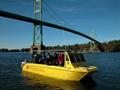 2006Wildcat dive boatPower catamaran