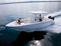 2010Boston Whaler320