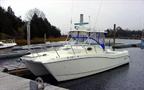 1998WORLD CAT26.6