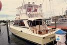 1983VIKINGConvertible