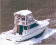 1989WELLCRAFTConvertible
