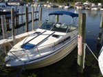 Sea Ray 250DA Boat for Sale