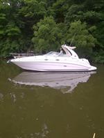 Searay 280 Sundancer Boat for Sale