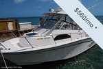Grady-White 300 Marlin Boat for Sale