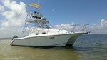 Pro Sports 2860 ProKat Boat for Sale