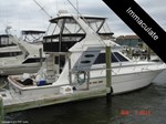 Sea Ray Boat for Sale
