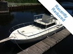 Viking Boat for Sale