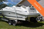 Sea Ray Boat for Sale