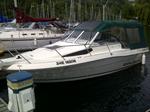 Campion 672 Explorer Boat for Sale