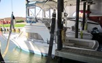 Phoenix Boat for Sale