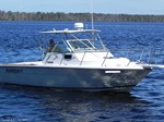 Pursuit Boat for Sale