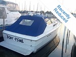 Sea Ray Boat for Sale