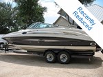 Sea Ray Boat for Sale