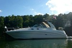 Sea Ray Boat for Sale