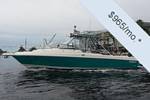 Intrepid Boat for Sale
