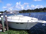 Sea Ray Boat for Sale