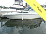 Sea Ray Boat for Sale