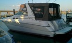 Sea Ray Boat for Sale