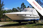 Larson Boat for Sale