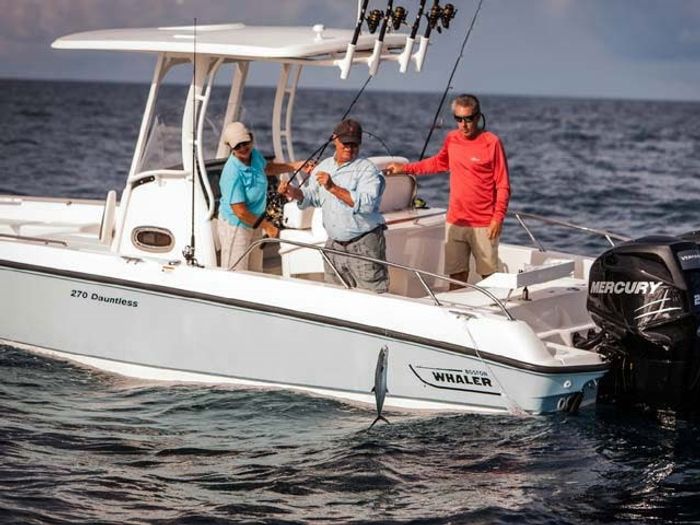 boston whaler 270 dauntless fishing